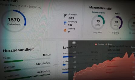 Fitness-Tracking Auswertung