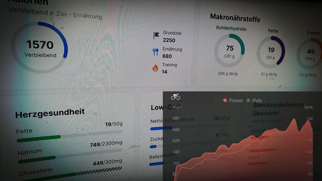 Fitness-Tracking Auswertung
